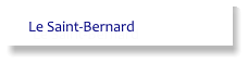 Le Saint-Bernard