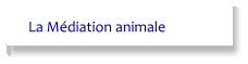 La Médiation animale