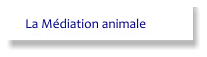 La Médiation animale