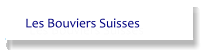 Les Bouviers Suisses