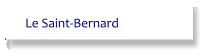 Le Saint-Bernard